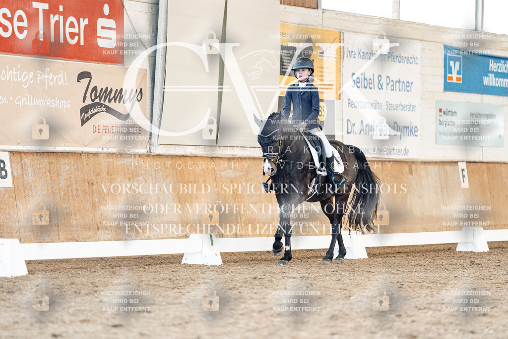 CK908243 | Turnierfotografie Pferdefotografie Trier Rheinland-Pfalz Pferdesport Reitsport Tierfotografie Sportfotografie Pferdevideo Pferdevideografie Equestrianvideography equestrianphotography  - Realisiert mit Pictrs.com