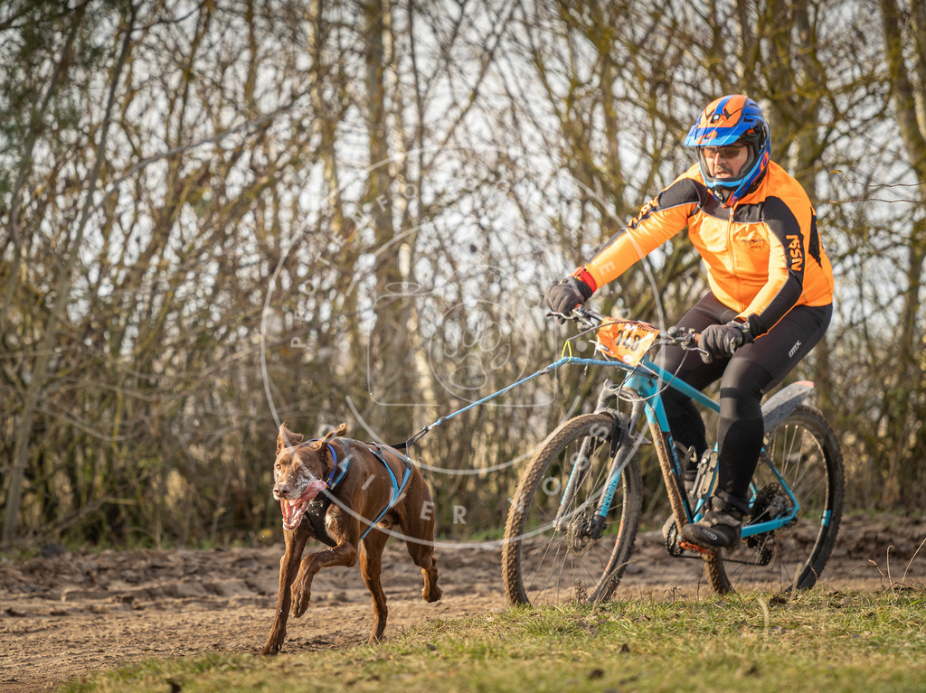 Pfotenfotografie_DV3A8590 | Hundefotografie, Tierfotograf, Pfotenfotografie, Fotoshooting Hund, Hunde Portrait, Hundesport, Hundeportraits, Heideshooting, Hunde, Sportfotograf, Hundefotograf, Turnierhundsport, THS,  - Realisiert mit Pictrs.com
