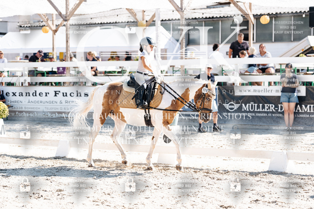CK903244 | Turnierfotografie Pferdefotografie Trier Rheinland-Pfalz Pferdesport Reitsport Tierfotografie Sportfotografie Pferdevideo Pferdevideografie Equestrianvideography equestrianphotography  - Realisiert mit Pictrs.com