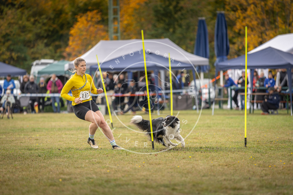 Pfotenfotografie_DV3A6948 | Hundefotografie, Tierfotograf, Pfotenfotografie, Fotoshooting Hund, Hunde Portrait, Hundesport, Hundeportraits, Heideshooting, Hunde, Sportfotograf, Hundefotograf, Turnierhundsport, THS,  - Realisiert mit Pictrs.com