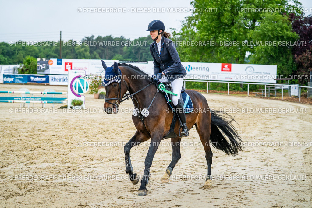 DSC02853 | Pferdegrafie