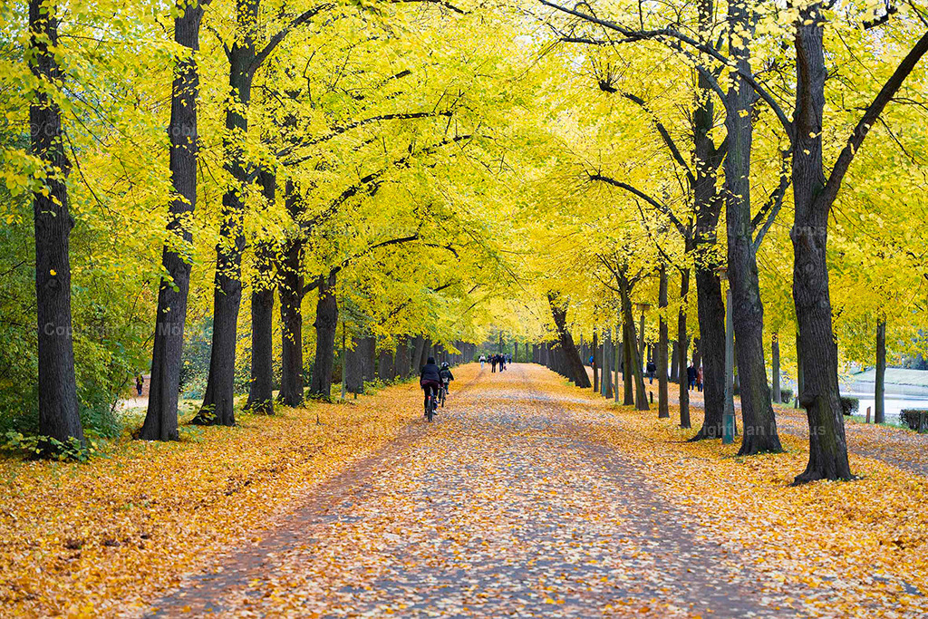 Clara Park | Der Clara-Zetkin-Park in Leipzig ist ein beliebter Ort für Natur, Sport und Erholung – perfekt für Spaziergänge, Jogging und entspannte Stunden im Grünen. - Realisiert mit Pictrs.com