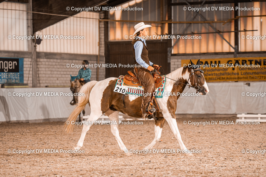 ZH100637 | dv-media-shop - Realisiert mit Pictrs.com