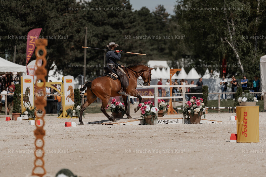 WE_ST_Stoib_313_PI2025_1297 | Pferd International München 2025