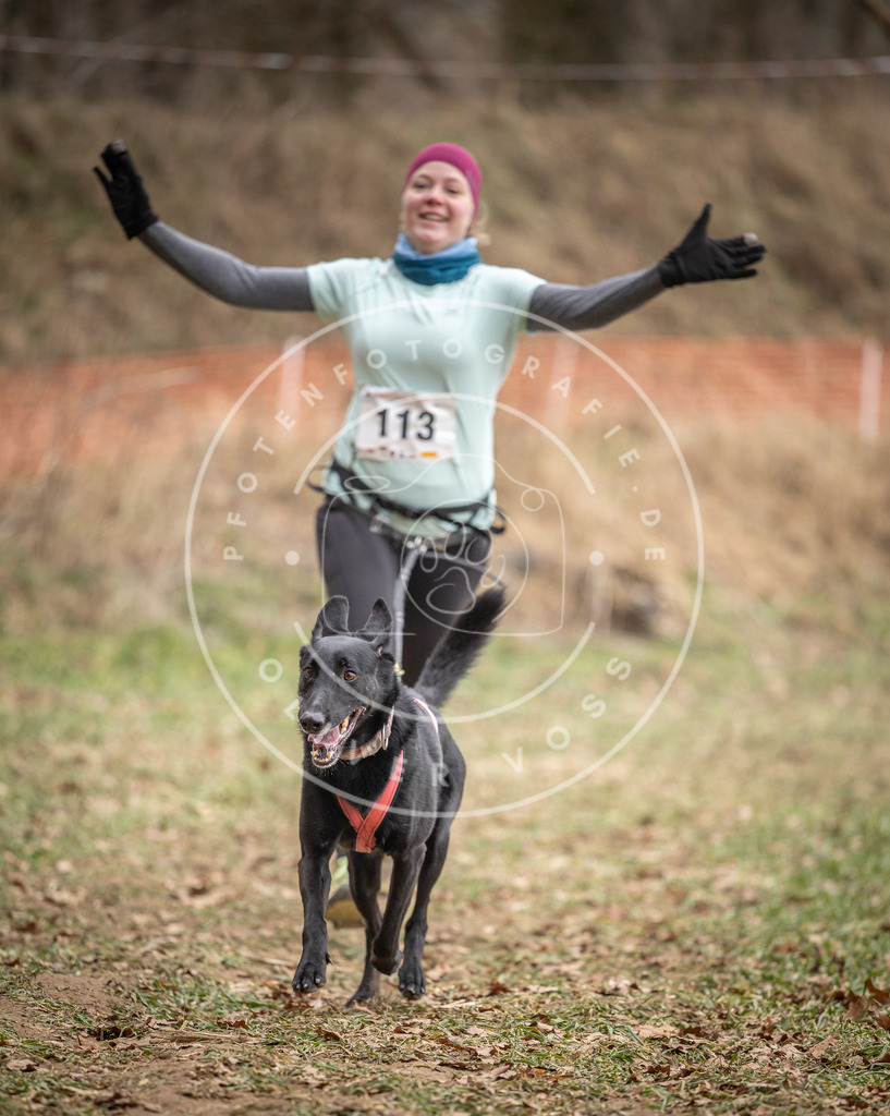 Pfotenfotografie_DV3A7566 | Hundefotografie, Tierfotograf, Pfotenfotografie, Fotoshooting Hund, Hunde Portrait, Hundesport, Hundeportraits, Heideshooting, Hunde, Sportfotograf, Hundefotograf, Turnierhundsport, THS,  - Realisiert mit Pictrs.com