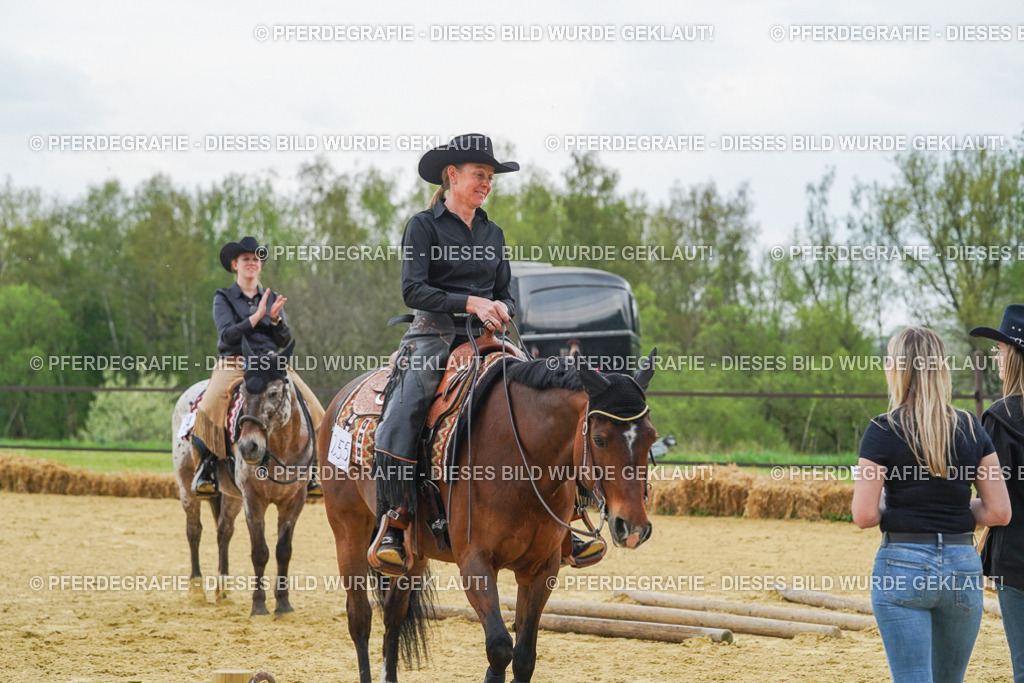 DSC07931 | Pferdegrafie