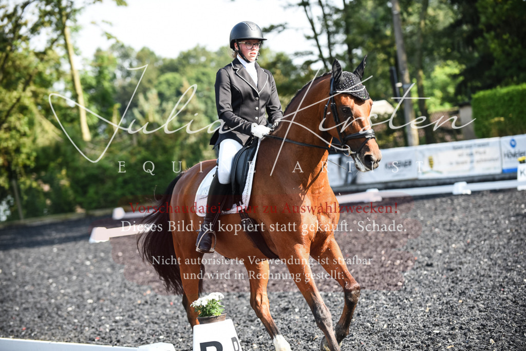 DSC_3169 | Pferde- und Turnierfotografie in Westsachsen. Pferdeportraits, Auftragszeichnungen und intuitive Kunst.