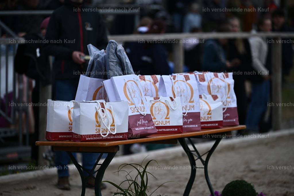 PI26_GesamtSEhrung_Sara_Landvogt_226_5895.JPG | working equitationturnier fotograf videograf stoibphotography marixx film working equitation deutschland reitsport turnierfotografie eventfotografie equestrian events