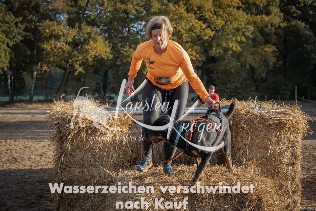 0951_ZZ95152 | kk-dogfotos