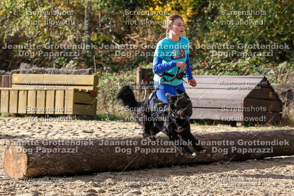 Dog Paparazzi - Strongdog 10-25-5898 | Dog Paparazzi Jeanette Grottendiek Fotografie & Videografie - Realisiert mit Pictrs.com