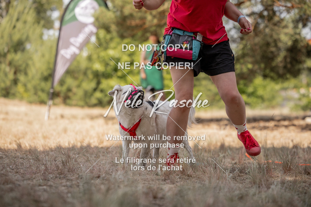 nelerasche_soDD2_391 | nelerasche