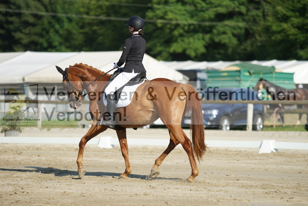 DSC04189 | equestrian-live-com