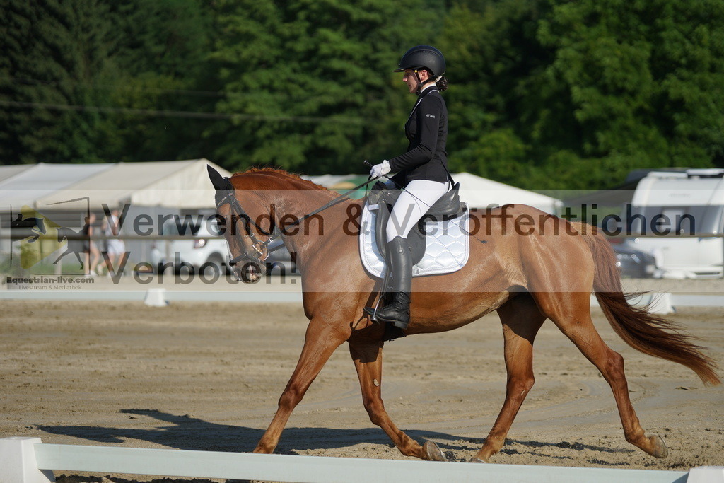 DSC04185 | equestrian-live-com