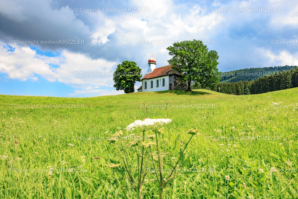 _J3A7980 | medienkrizzler - Realisiert mit Pictrs.com