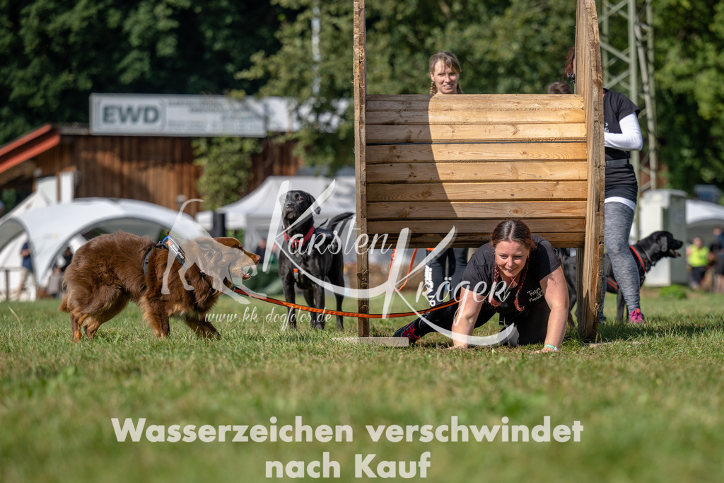 1131_ZZ90421 | kk-dogfotos