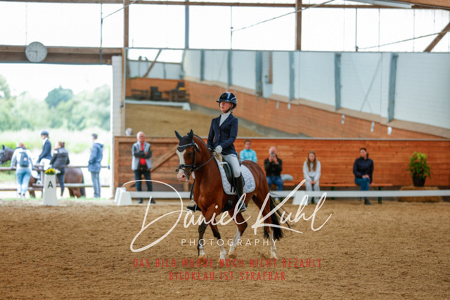 _62_6291 | Turniersportfotografie; Pferdefotografie; Dressurfotografie