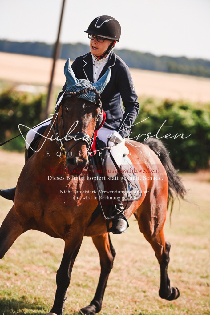 DSC_7392 | Pferde- und Turnierfotografie in Westsachsen. Pferdeportraits, Auftragszeichnungen und intuitive Kunst.