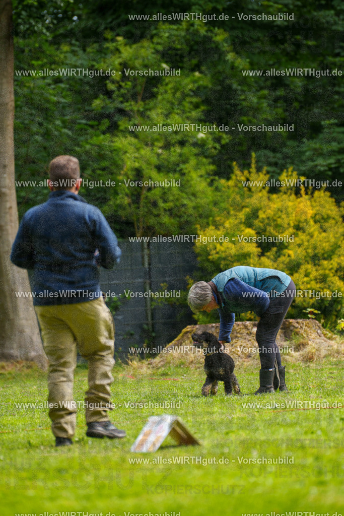 @allesWIRTHgut_Tierfotografie - www.allesWIRTHgut.de - 093024-7R507232 | Professionelle Tierfotografie in Mönchengladbach von Daniel Wirth (allesWIRTHgut). Liebevolle & natürliche Bilder von Hunden & Katzen für unvergessliche Erinnerungen.