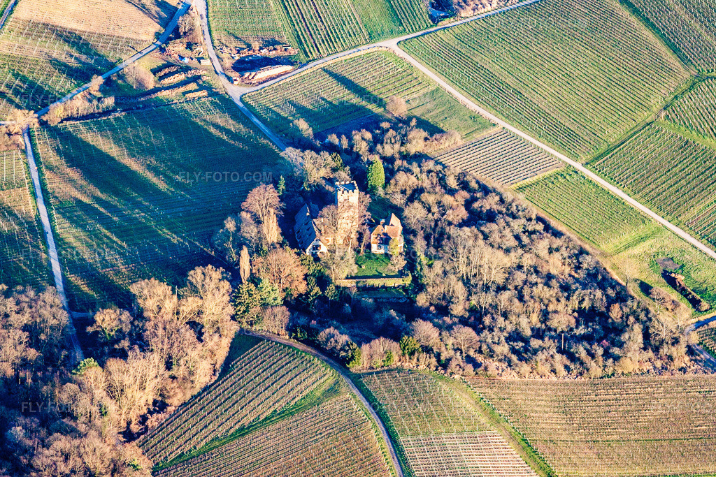 Aerial view: Buildings and parkland at the manor house Chateau Saint Paul on the Sonnenberg in Wissembourg in the state Bas-Rhin, France. – Photo: IMG_61915.jpg taken on 01/28/2014 by Werner Riehm/FLY-FOTO.com – Resolution of the original: 4595 x 3064 px