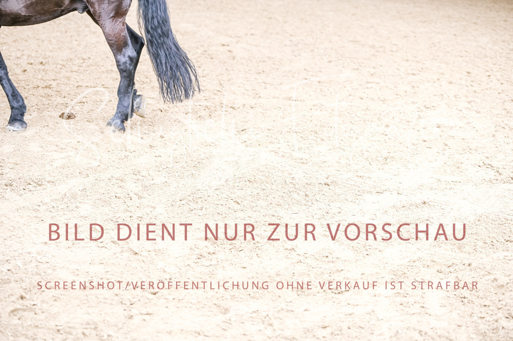 Schugtsche-Aluta25-57.Dressurprf.M1Kand-191 | Schugtsche Fotografie - Realisiert mit Pictrs.com