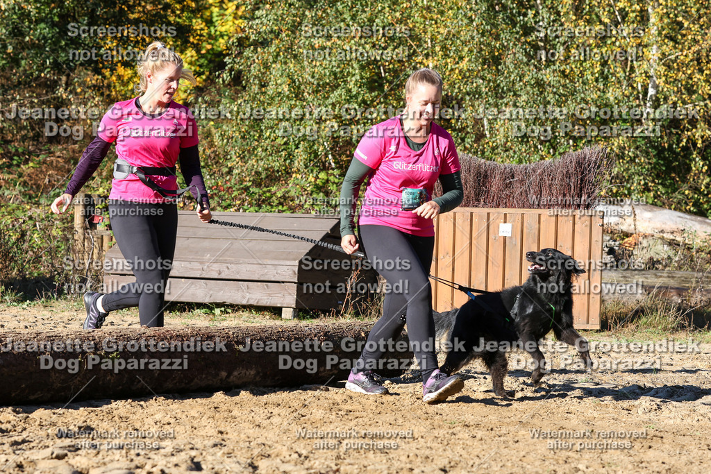 Dog Paparazzi - Strongdog 10-25-1906 | Dog Paparazzi Jeanette Grottendiek Fotografie & Videografie - Realisiert mit Pictrs.com