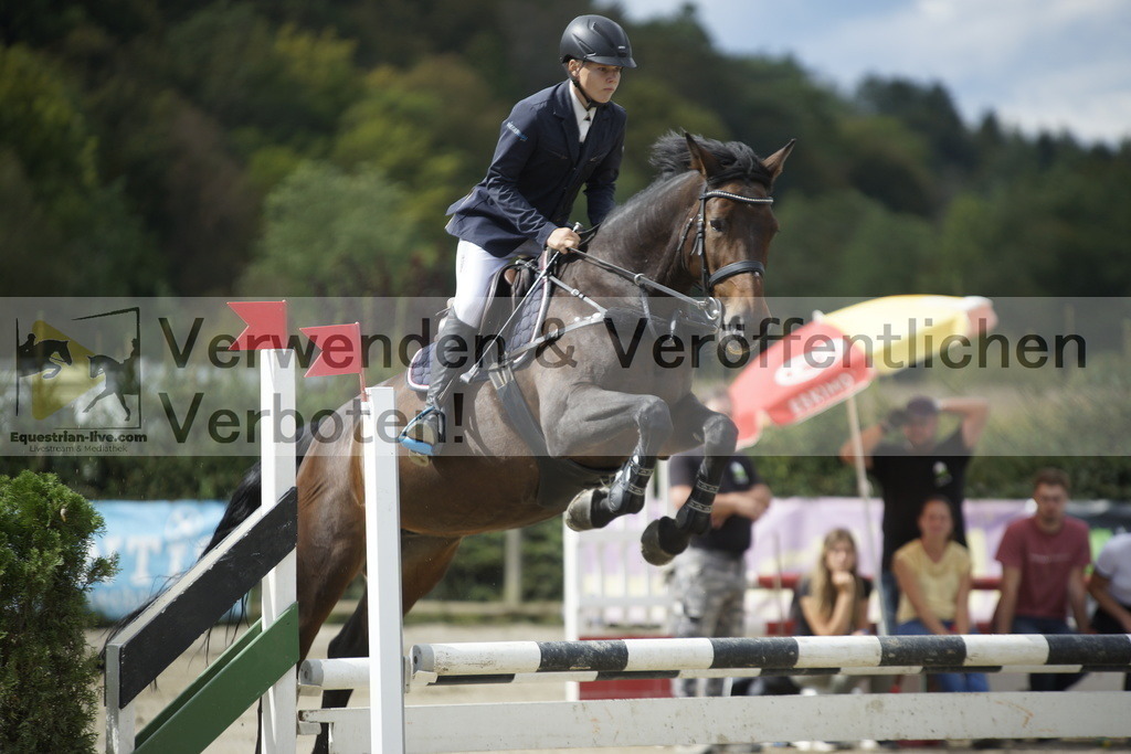 _DSC4354 | equestrian-live-com