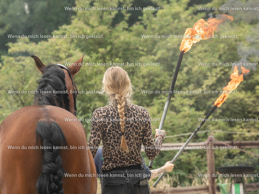 598A7393 | photographylinaismer - Realisiert mit Pictrs.com