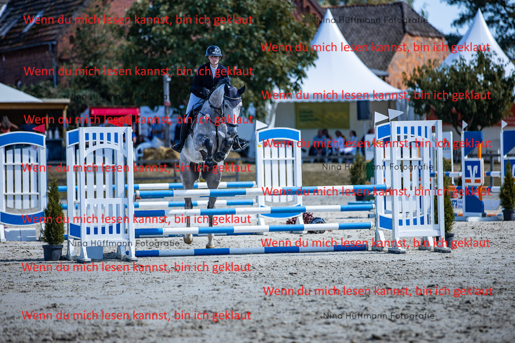 BK1A5551 | Turnierbilder Turnierfotos Nina Hüffmann Turnierfotografie Pferdefotografie Tierzeichnung Haustierzeichnung Pferdezeichnung Hundezeichnung Videograf  - Realisiert mit Pictrs.com
