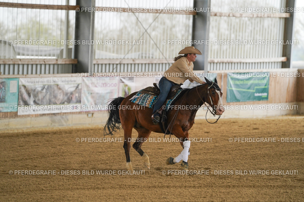 DSC07082 | Pferdegrafie