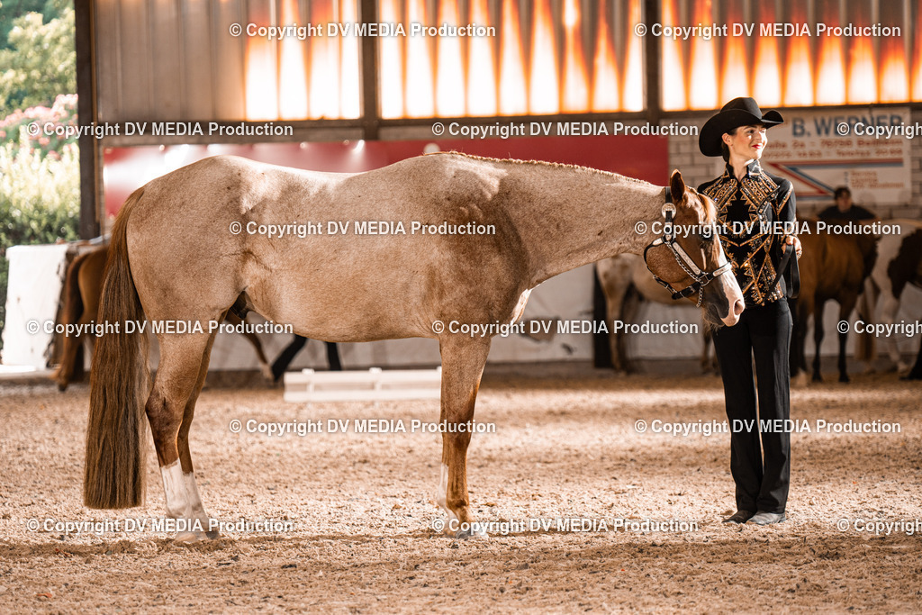 ZH200270 | dv-media-shop - Realisiert mit Pictrs.com