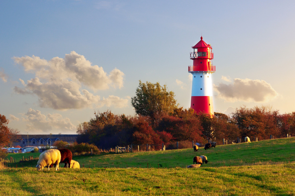 Wandbild: Leuchtturm und Schafe auf dem Deich in Falshöft | Dieses Wandbild im Querformat zeigt einen schönen rot weißen Leuchtturm an der Ostsee in Falshöft. Der Leuchtturm wird von der tiefstehenden Sonne angeleuchtet. Im Vordergrund auf einem kleinen Deich befinden sich einige Schafe. - Realisiert mit Pictrs.com