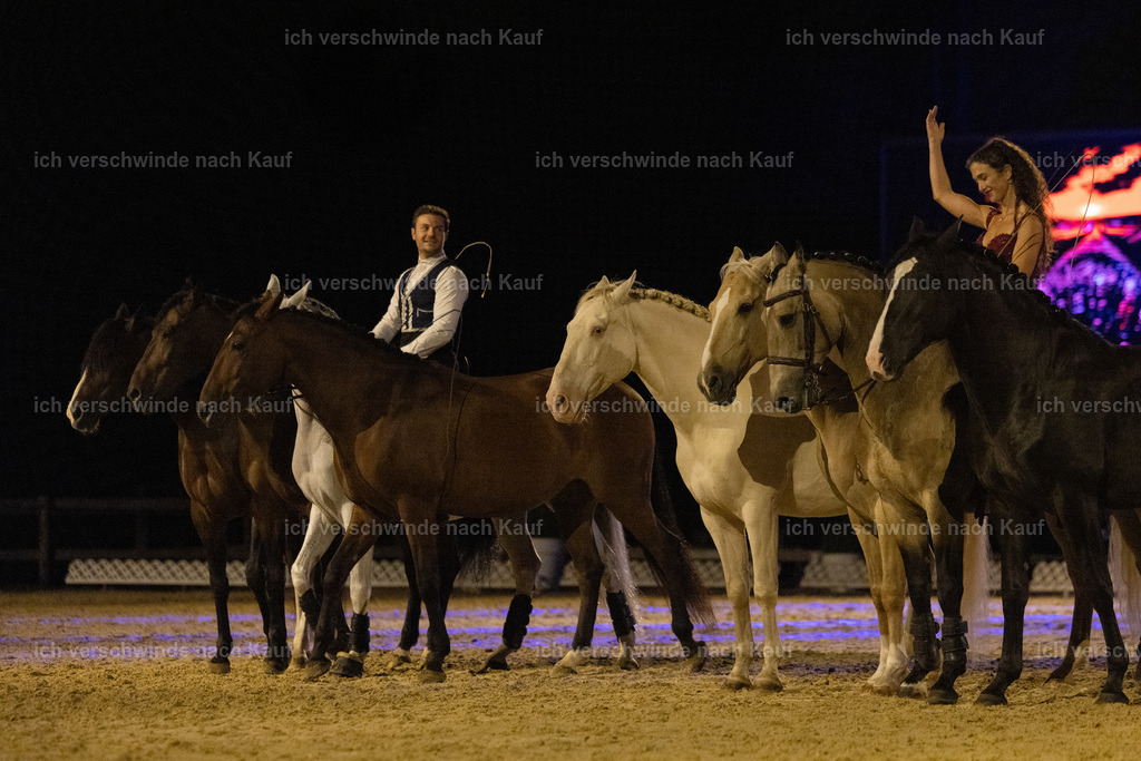 FHClassics-350 | working equitationturnier fotograf videograf stoibphotography marixx film working equitation deutschland reitsport turnierfotografie eventfotografie equestrian events