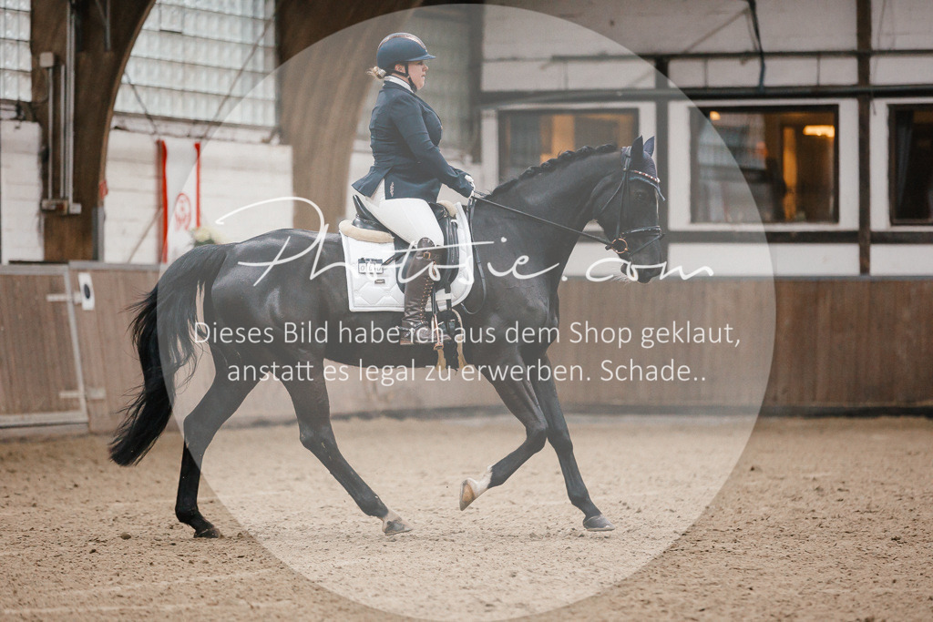 3I6A6026 | Stimmungsvolle Portraits und Reitsportfotografie im Ruhrgebiet und im Münsterland.

Pferdefotografie, Hundefotografie, Tierfotografie, Reportagen, Portraits von Tier und Mensch, Turnierfotografie in Bochum, Recklinghausen, Marl, Haltern am See, Dülmen.. - Realisiert mit Pictrs.com