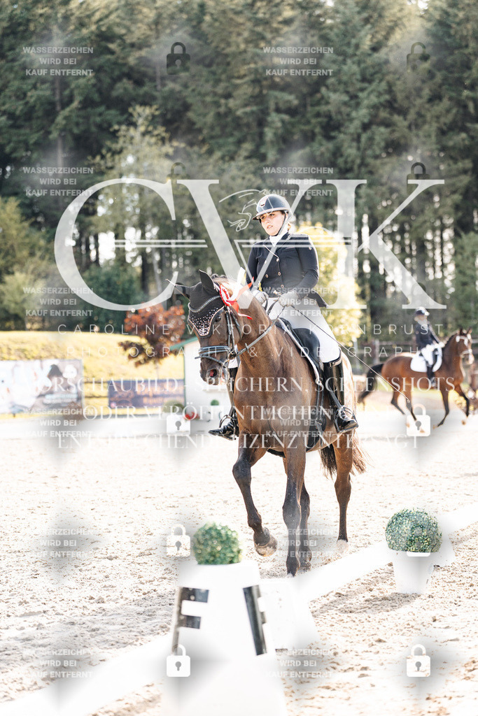 CK901805 | Turnierfotografie Pferdefotografie Trier Rheinland-Pfalz Pferdesport Reitsport Tierfotografie Sportfotografie Pferdevideo Pferdevideografie Equestrianvideography equestrianphotography  - Realisiert mit Pictrs.com