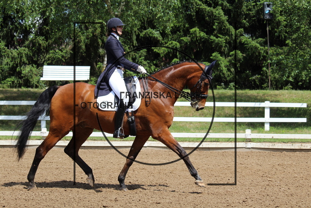 IMG_7632 | franziskalange - Realisiert mit Pictrs.com