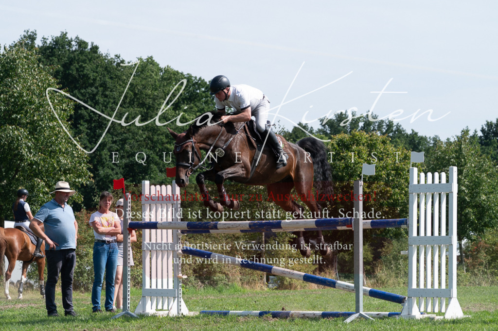 DSC_0858 | Pferde- und Turnierfotografie in Westsachsen. Pferdeportraits, Auftragszeichnungen und intuitive Kunst.