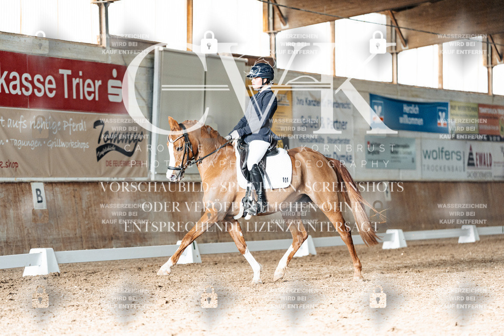 CK903005 | Turnierfotografie Pferdefotografie Trier Rheinland-Pfalz Pferdesport Reitsport Tierfotografie Sportfotografie Pferdevideo Pferdevideografie Equestrianvideography equestrianphotography  - Realisiert mit Pictrs.com