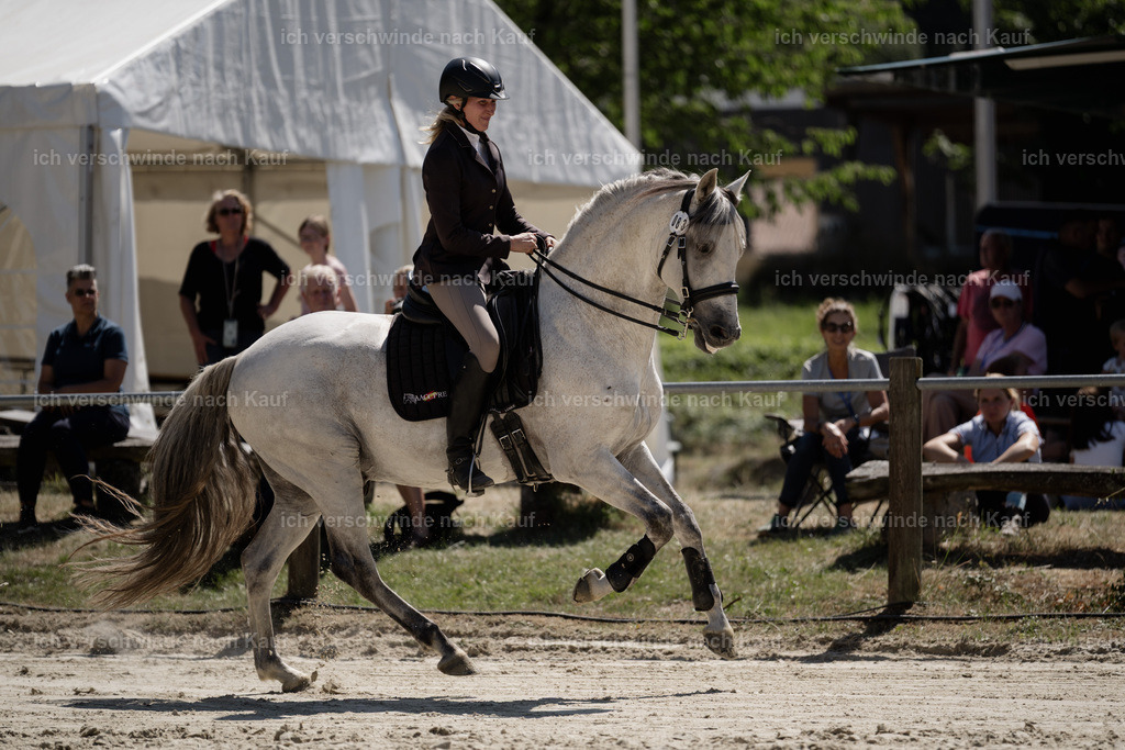 WM_ST_83_stoibphotography__SO11564 | working equitationturnier fotograf videograf stoibphotography marixx film working equitation deutschland reitsport turnierfotografie eventfotografie equestrian events