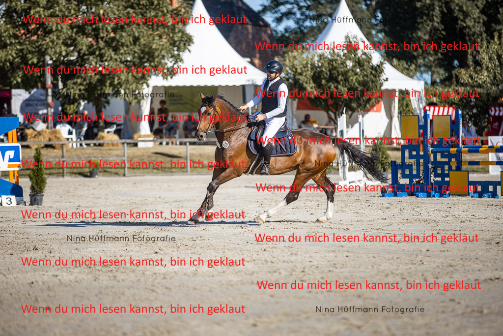 BK1A7454 | Turnierbilder Turnierfotos Nina Hüffmann Turnierfotografie Pferdefotografie Tierzeichnung Haustierzeichnung Pferdezeichnung Hundezeichnung Videograf  - Realisiert mit Pictrs.com
