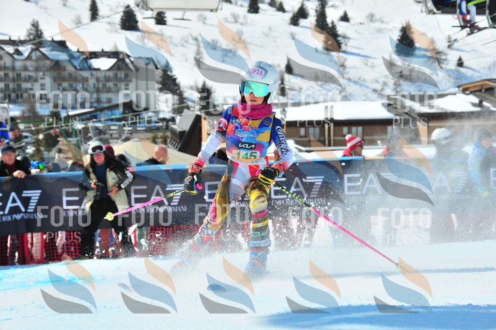 DSC_1239 | holidayphoto