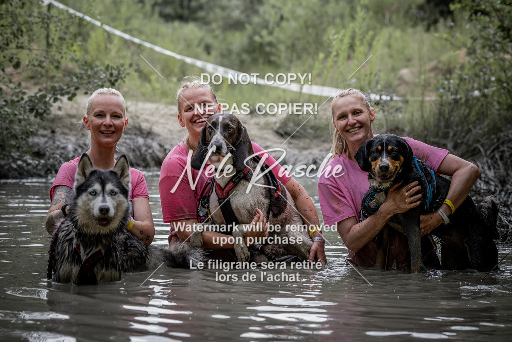 nelerasche_so1230-1300_26 | nelerasche