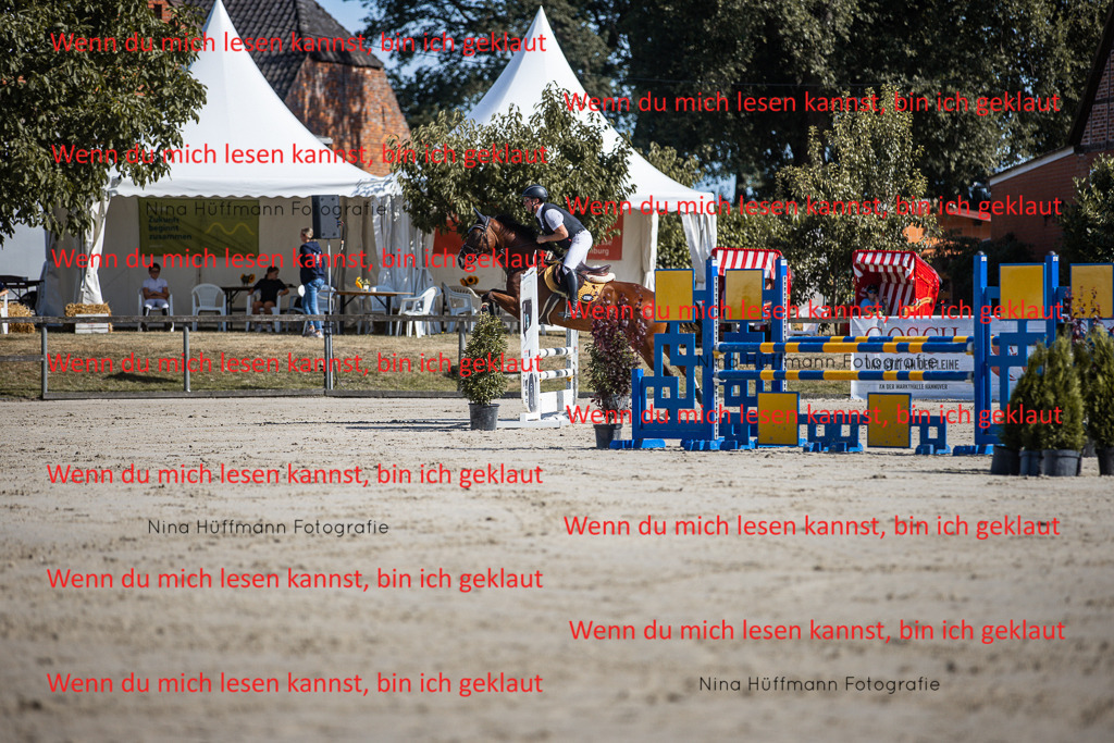 BK1A7066 | Turnierbilder Turnierfotos Nina Hüffmann Turnierfotografie Pferdefotografie Tierzeichnung Haustierzeichnung Pferdezeichnung Hundezeichnung Videograf  - Realisiert mit Pictrs.com
