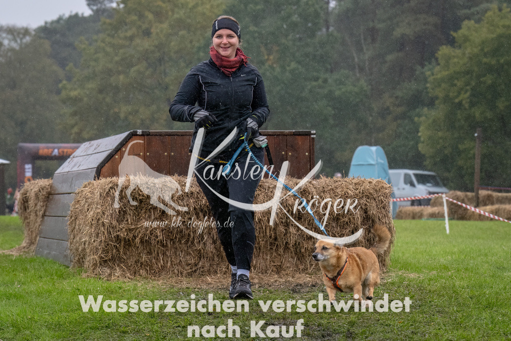 1300--17 | kk-dogfotos