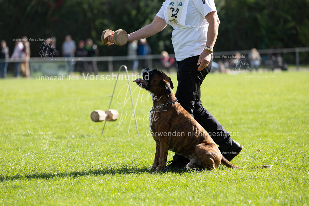 _16A5261 | Einzigartige Fotos von Hunden & Menschen –Actionfotos, Portraits, Vereinsaufnahmen & Paarshootings – authentisch, lebendig & mit Herz.