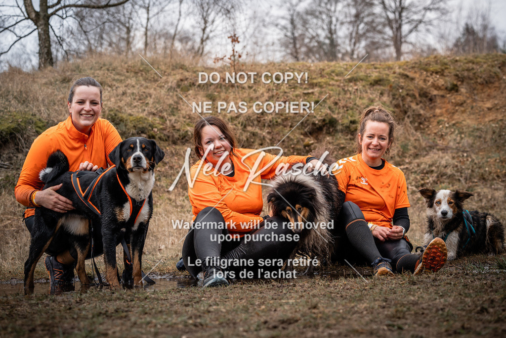 nelerasche_1330-1400_36 | nelerasche