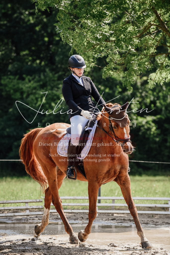 DSC_0261 | Pferde- und Turnierfotografie in Westsachsen. Pferdeportraits, Auftragszeichnungen und intuitive Kunst.