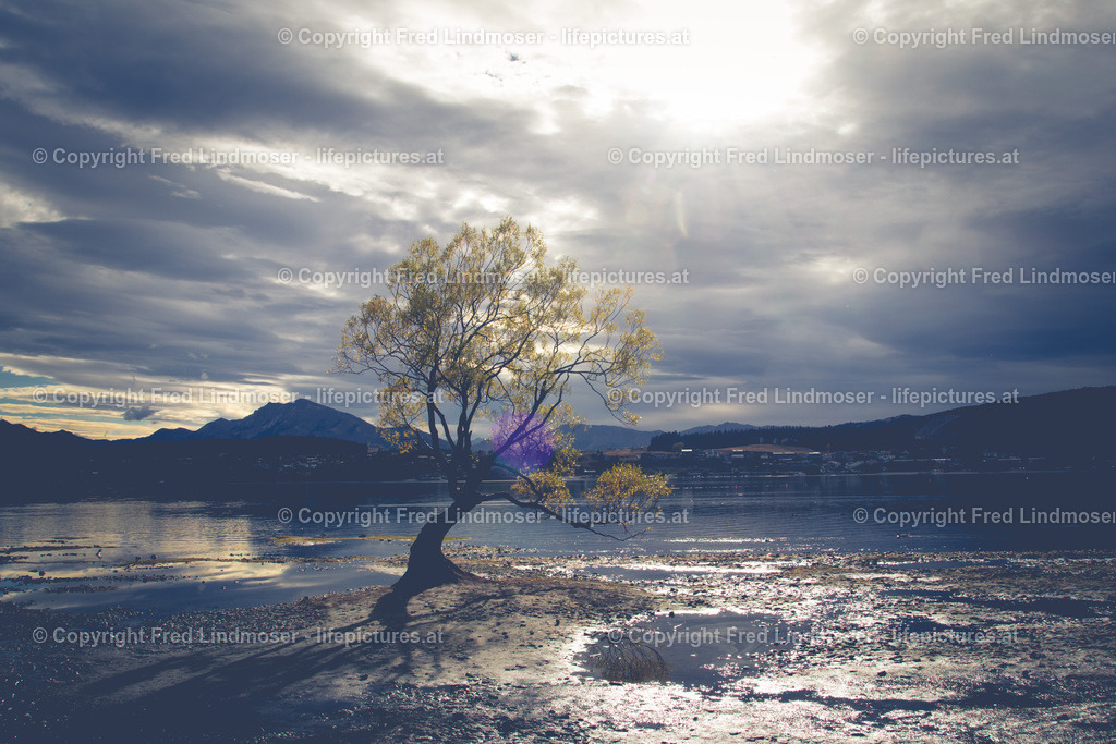 Neuseeland-1112 | Fotos und Fotoprodukte - Realisiert mit Pictrs.com