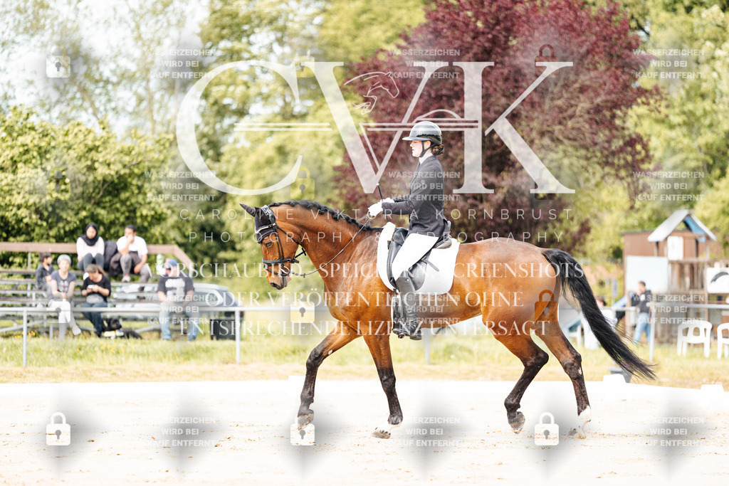 CK900742 | Turnierfotografie Pferdefotografie Trier Rheinland-Pfalz Pferdesport Reitsport Tierfotografie Sportfotografie Pferdevideo Pferdevideografie Equestrianvideography equestrianphotography  - Realisiert mit Pictrs.com