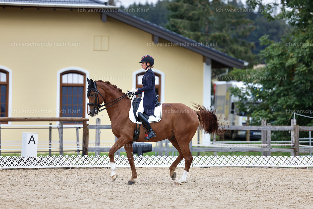 12-238-DRESSUR  S___  -StoibPH-5303 | working equitationturnier fotograf videograf stoibphotography marixx film working equitation deutschland reitsport turnierfotografie eventfotografie equestrian events