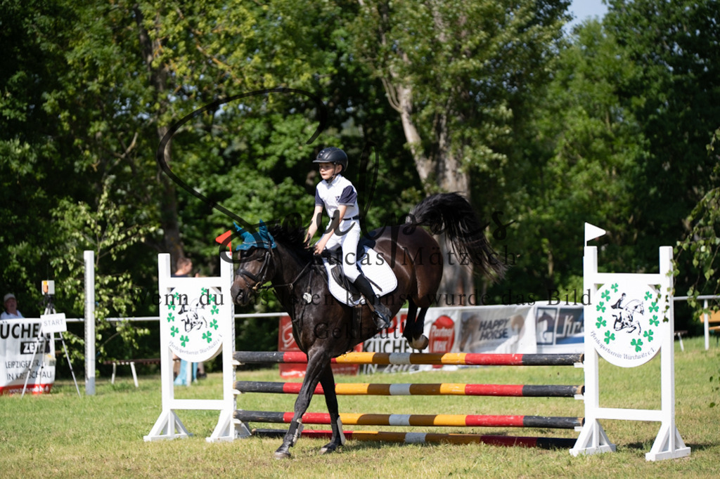 A7V05506 | Pferdefotograf